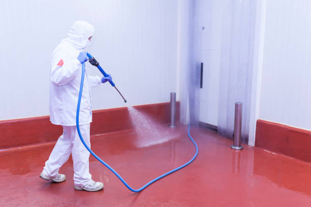 Best Playground Equipment Cleaning  in White House Station, NJ